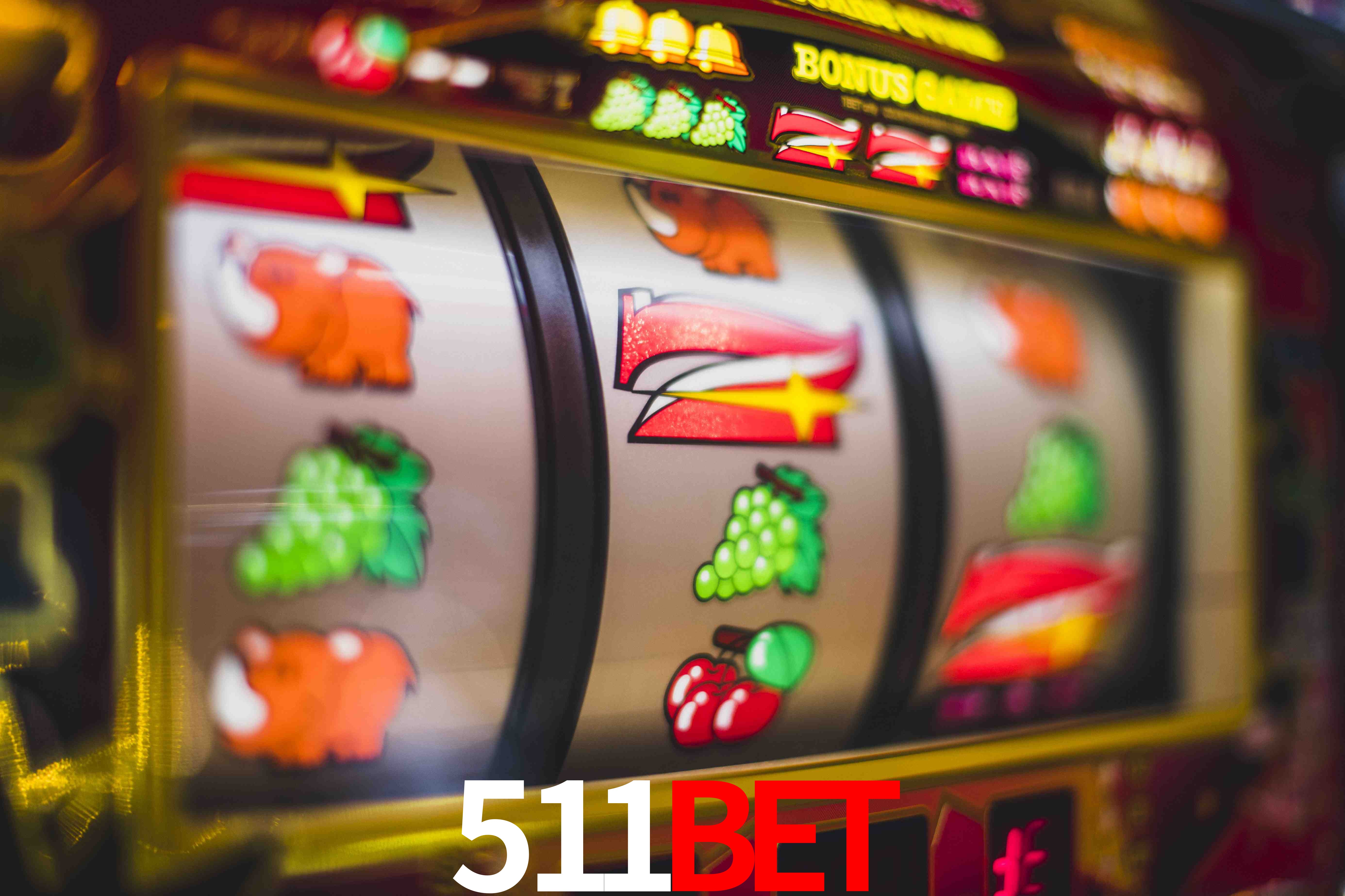 VIP Casino 511Bet